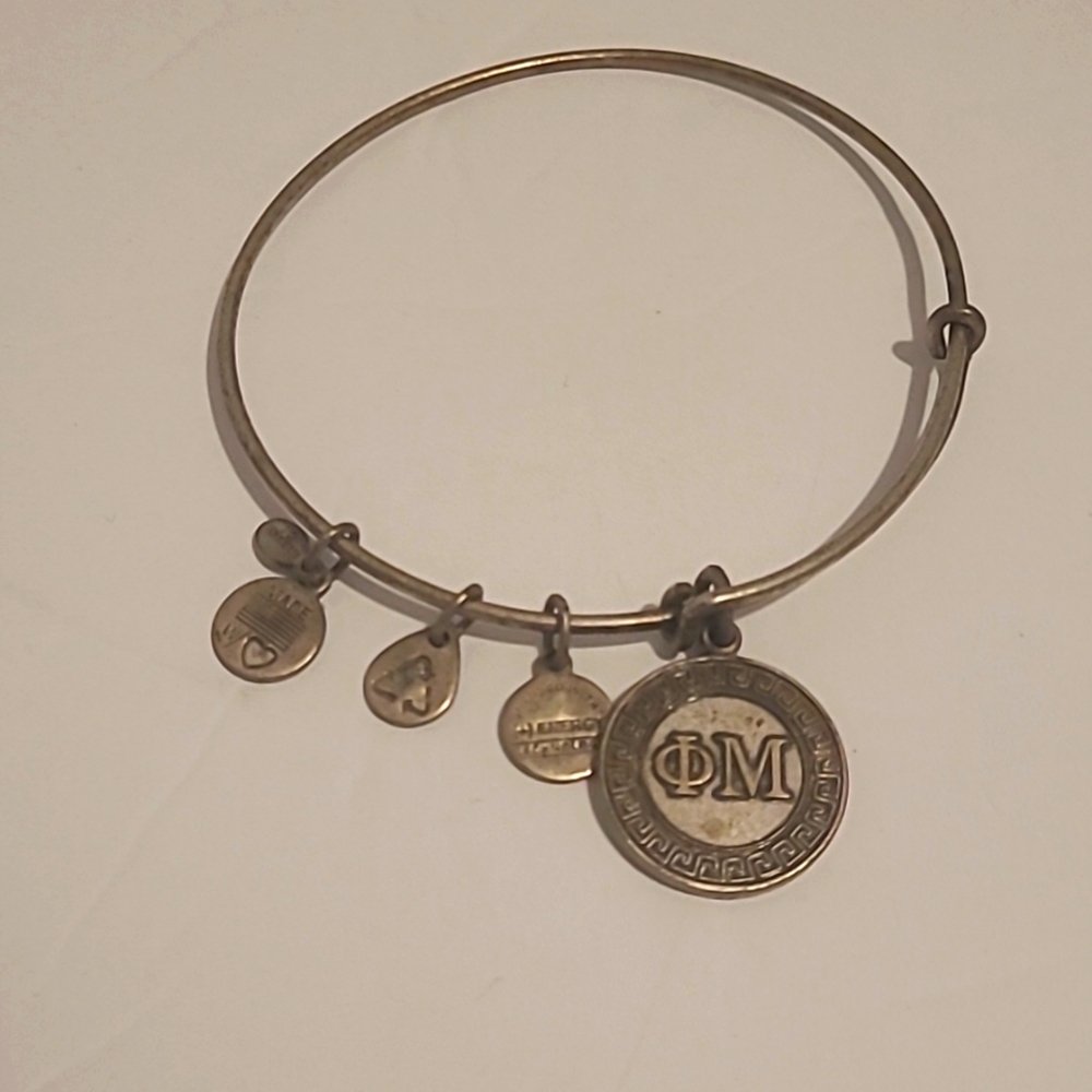 Alex &  Ani  charm Bracelet
